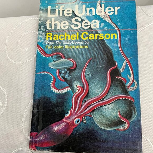 Vintage Children's Book Lot 7 Classic Hardcover Books Including Call Of The Wild - Picture 5 of 8